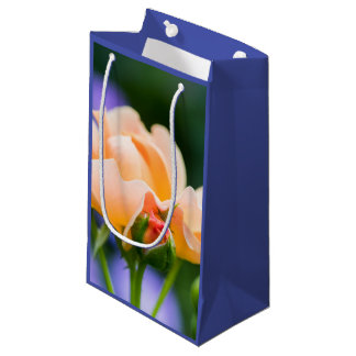 unfolding desire small gift bag