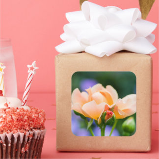 unfolding desire square sticker