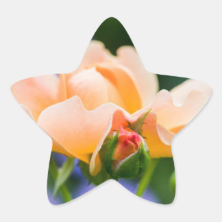 unfolding desire star sticker