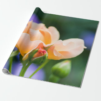 unfolding desire wrapping paper