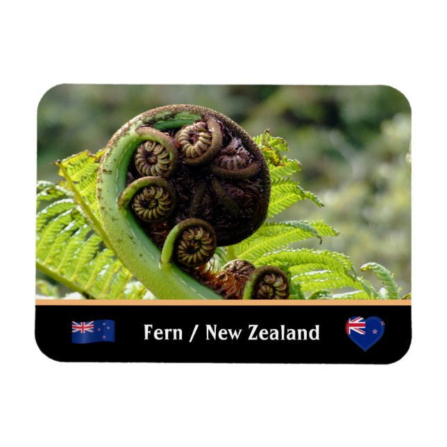 Unfolding Fern, New Zealand, Wilderness Magnet (Horizontal)
