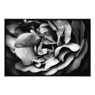 unfolding inner life photo print