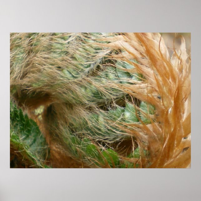 Unfolding Poster (Front)