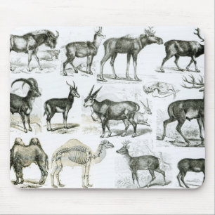 Ungalata or Hoofed Animals Mouse Pad