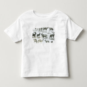 Ungalata or Hoofed Animals Toddler T-shirt