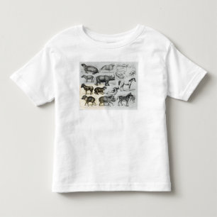 Ungulata or Hoofed Animals Toddler T-shirt