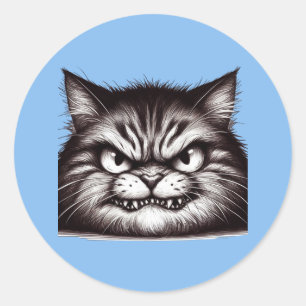 Unhappy cat face. classic round sticker