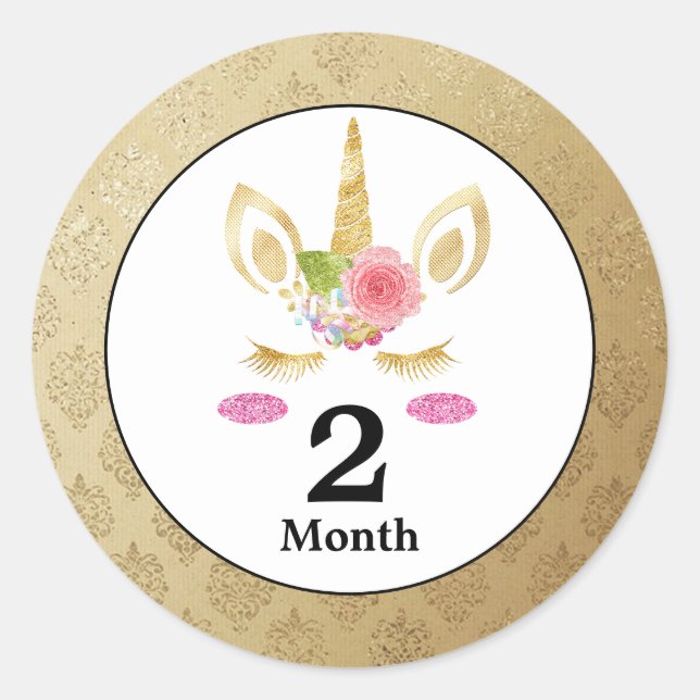 Unicorn Baby Month Stickers (Front)