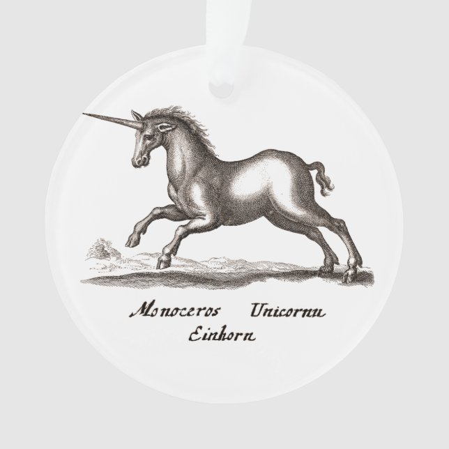 Unicorn Classic Running Magic Woodland Créature (devant)