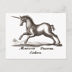 Unicorn Classic Running Magic Woodland Creature Postcard