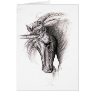 Unicorn Colt