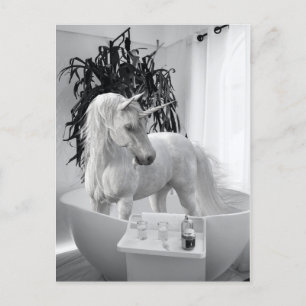 Unicorn in the Bathtub  Postcard