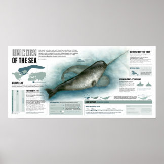 Unicorn of the Sea Poster