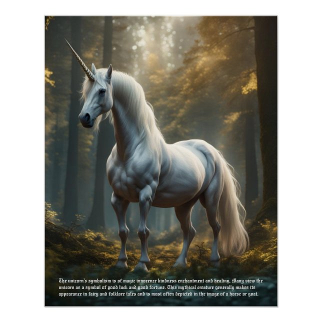 Unicorn Poster (Front)