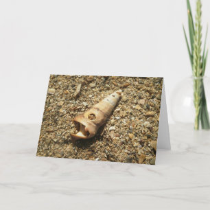 Unicorn Shell on Beach Card