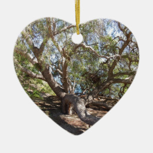 Unidentified Tree on the California Coast Ceramic Ornament