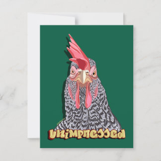 Unimpressed Barred Rock Hen Postcard