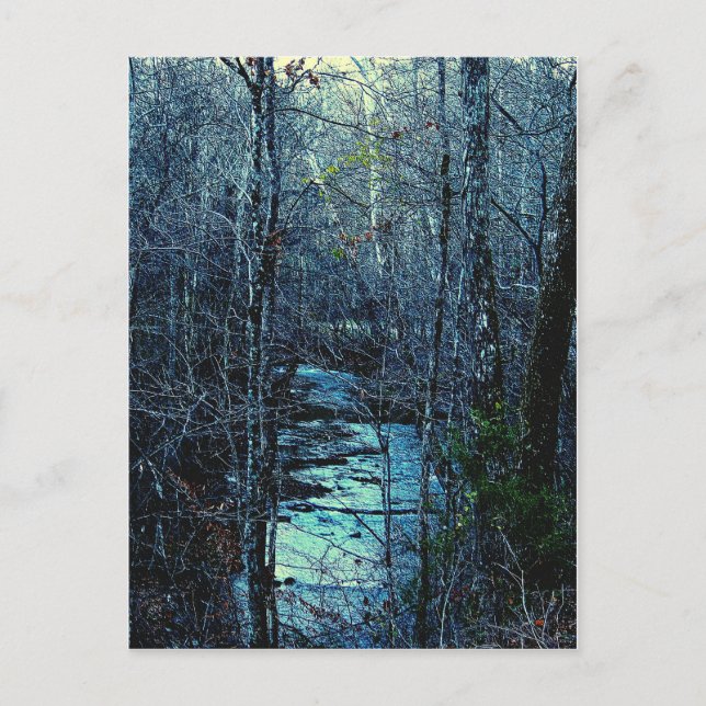 Union Camp Postcard (Front)