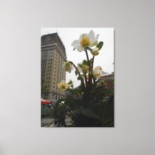 Union Square, New York City, USA Canvas Print