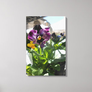 UnionSquare Canvas Print