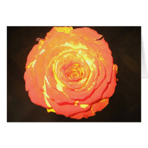 Unique - A Rose Like No Other - Subtle Love
