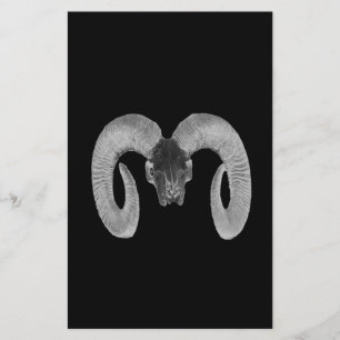 unique and handmade goat skull