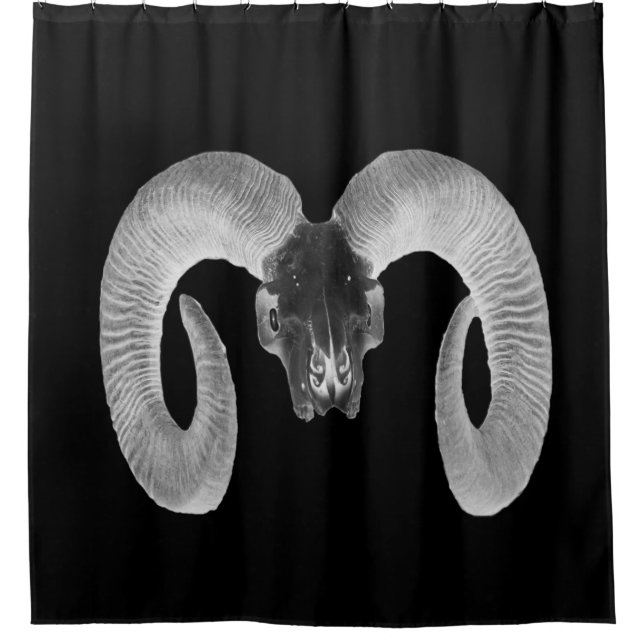 unique and handmade  goat skull (Front)