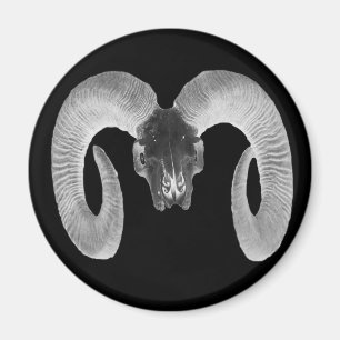 unique and handmade goat skull magnet