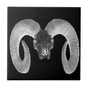 unique and handmade  goat skull tile