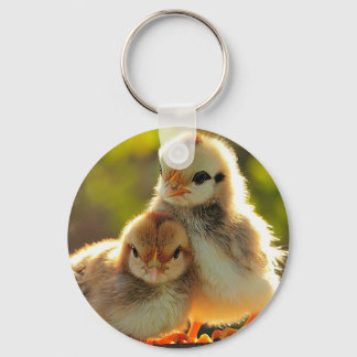 Unique and stylish key chains