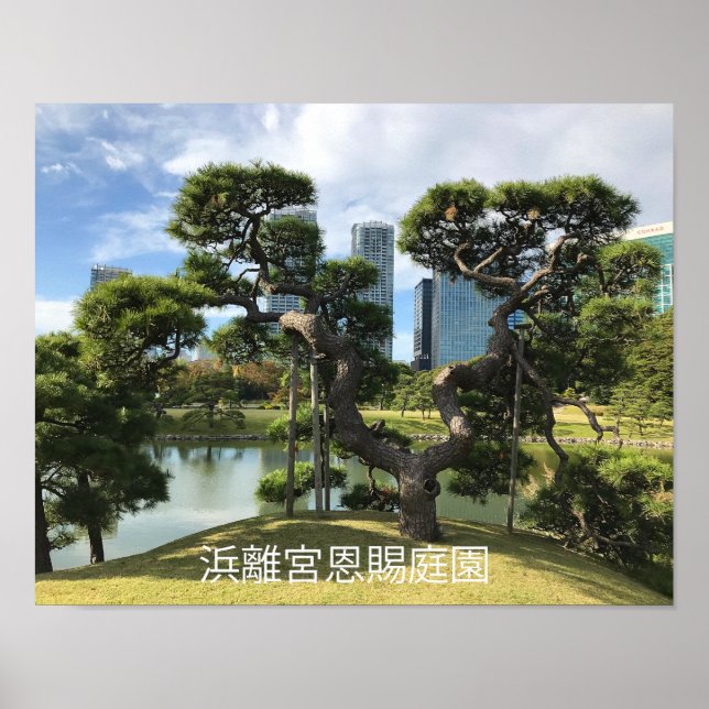 Unique Black Pine Tree Poster (Front)