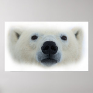 Unique Chic Polar Bear Artwork Poster Print