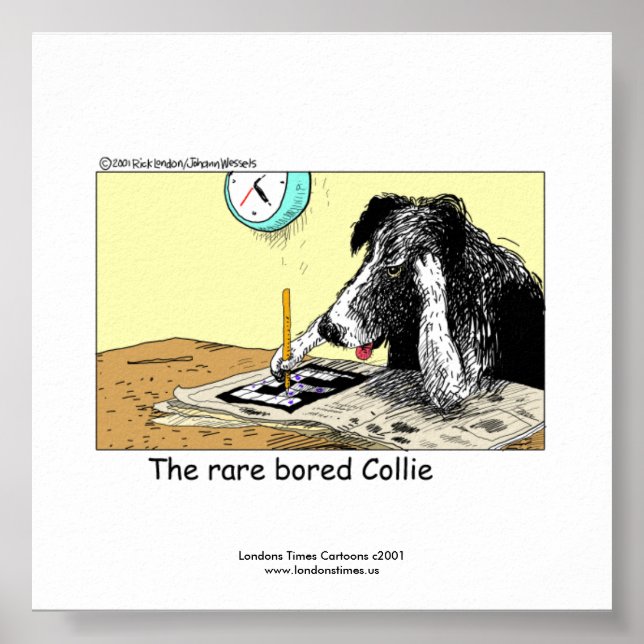 Unique Funny Border Collie Poster (Front)