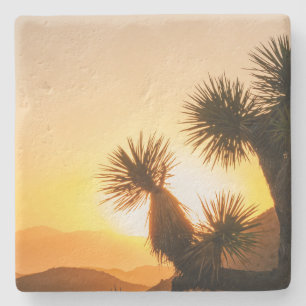 Unique Gift for Traveler with Desert Photo Stone Coaster