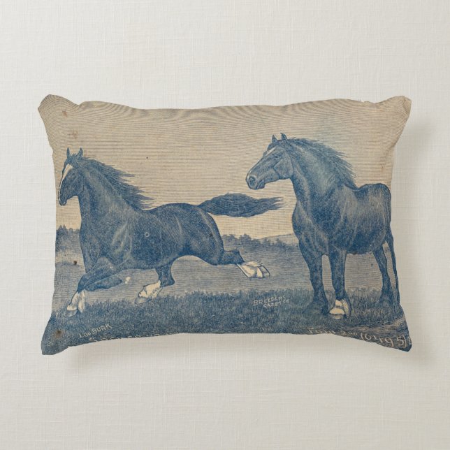 unique home decorations unique home decor accessor accent pillow (Front)