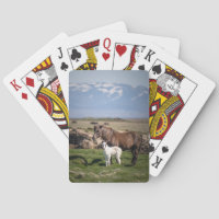 Unique Horse Lover’s Playing Cards
