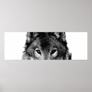 Unique Loup gris yeux Motivationnel Poster Imprime