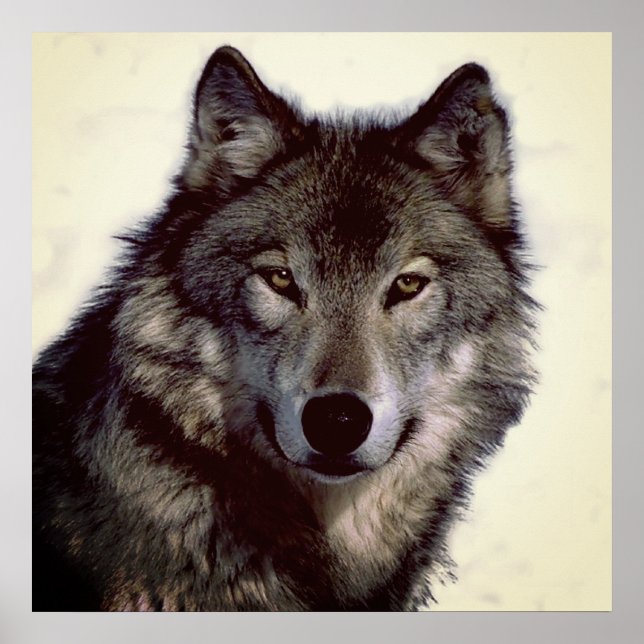Unique Motivational Wolf Creative Square Poster (Front)