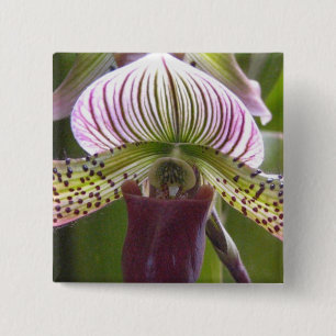Unique Orchid Button