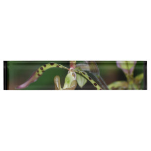 Unique Orchid Nameplate