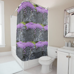 Unique Phlox Blossoms On Wall