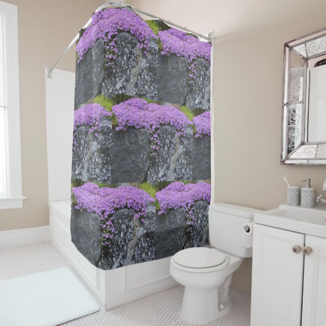 Unique Phlox Blossoms On Wall (In Situ)
