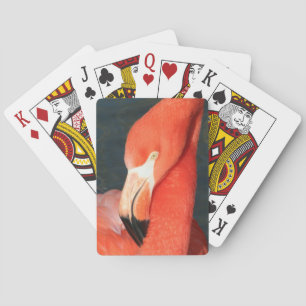 Unique Pink Flamingo Playing Cards Deck