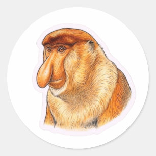 Unique Proboscis Monkey Art - Rare Indonesian Wild Classic Round Sticker