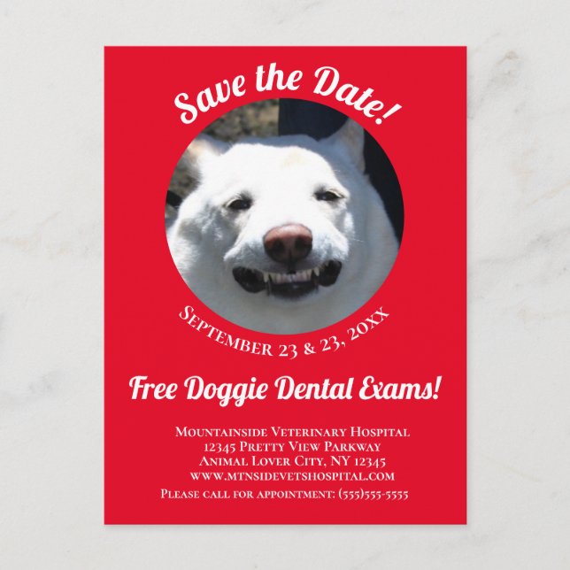 Unique Red Smiling Dog Pet Care Event Reminder Postcard (Front)