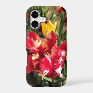 Unique Red & White Tulip