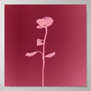 UNIQUE ROSE POSTER
