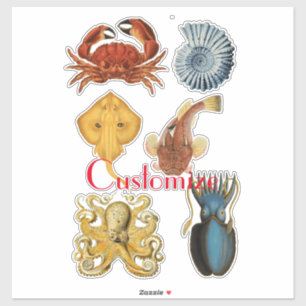 Unique Sea Beings Assortment Thunder_Cove