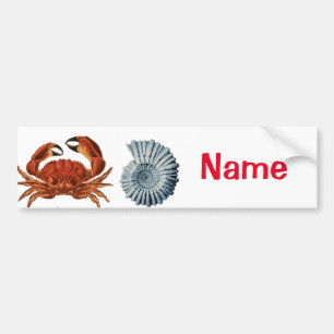 Unique Sea Beings Assortment Thunder_Cove  Bumper Sticker