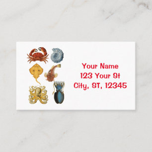 Unique Sea Beings Assortment Thunder_Cove Business Card